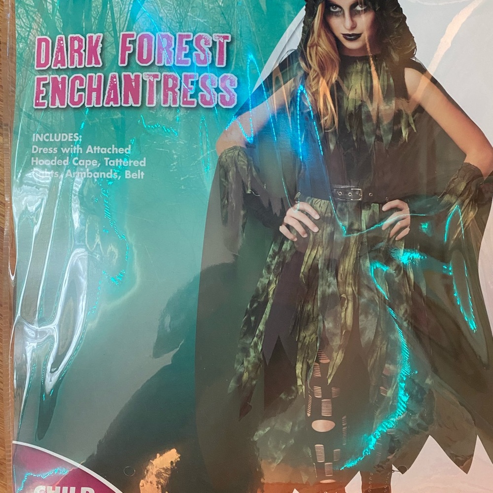 Child 12-14 size Halloween costume “Dark Forest Enchantress”